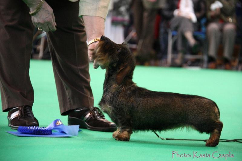 Crufts2011_2 1123.jpg